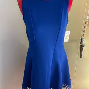 Woman’s Donna Ricco’s dress size 14P.